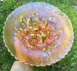 Carnival Outstanding Example Of A Northwood Marigold Poppy Show Plate “reed Ext.