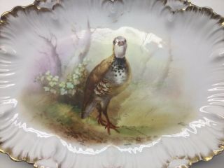 Antique Limoges Hand Painted Game Bird Plate And Platter Set 2