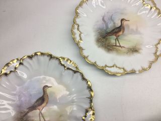 Antique Limoges Hand Painted Game Bird Plate And Platter Set 5