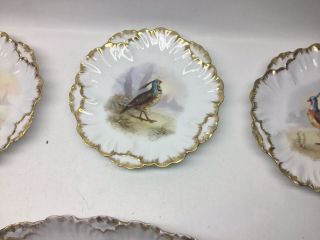 Antique Limoges Hand Painted Game Bird Plate And Platter Set 8