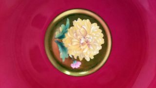 RARE Paragon Floating Chrysanthemum,  Gold/Red,  Teacup & Saucer A1571 9