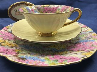 Shelley Oleander Rock Garden Chintz Cup,  Saucer And Plate - Gold Trim 13415