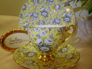 Shelley Yellow Tapestry Rose Chintz Ripon Footed Cup,  Saucer And Plate