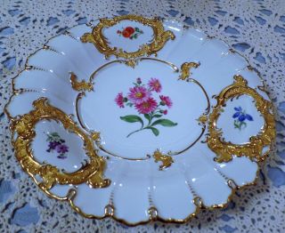 Meissen Germany Porcelain Hand Painted Floral Cabinet Charger/plate Heavy Gold
