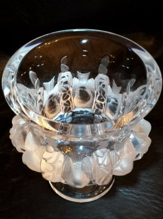 Lalique Dampierre Vase Mirror Finish No Damage With Box And Papers