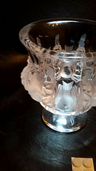 Lalique Dampierre Vase Mirror Finish No Damage with Box and Papers 7