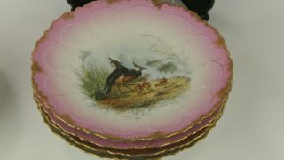 Antique Deliniers Limoges Game Bird Platter with 8 Plates Mark To Bottom 17 5
