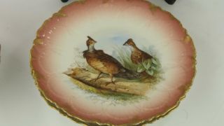 Antique Deliniers Limoges Game Bird Platter with 8 Plates Mark To Bottom 17 9