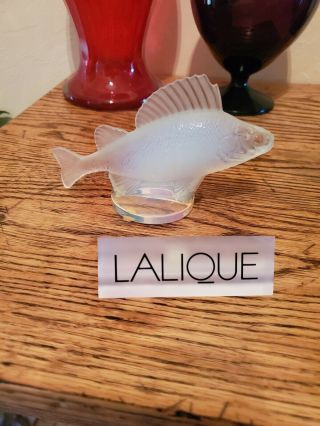 Lalique France French Frosted Crystal Perch Fish Car Mascot Glass Figurine Lma
