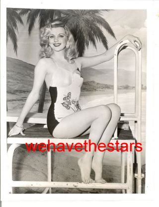 Vintage Dolores Moran Sexy Swimsuit Diving Board Pinup 