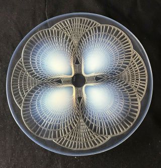 Rare Large Rene Lalique 10.  5 " Coquilles Charger Platter - Signed Ygf