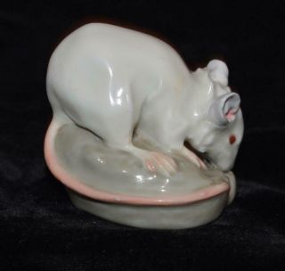RARE Meissen Miniature Porcelain Figurine - WHITE MOUSE / RAT on Base - I - 132 4