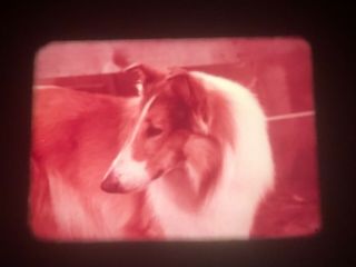 16MM TV SHOW: “LASSIE”,  WITH COMMERCIALS,  OCTOBER 25,  1970 AIR DATE 2