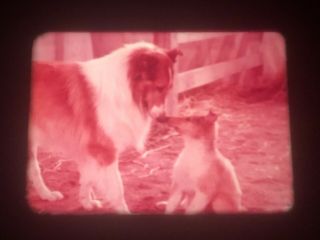 16MM TV SHOW: “LASSIE”,  WITH COMMERCIALS,  OCTOBER 25,  1970 AIR DATE 5