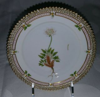 Antique Royal Copenhagen Flora Danica 6 " Cake Plate Dryas Integrifolia 20/3552
