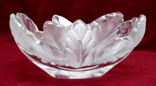 Lalique France Crystal Compiegne Pattern Forsted Leaves Bowl - 7 - 5/8 "