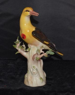 Large Meissen Porcelain Bird Figurine - Golden Oriole - 820 - 10.  5 " H - Ca 1880 - Exc