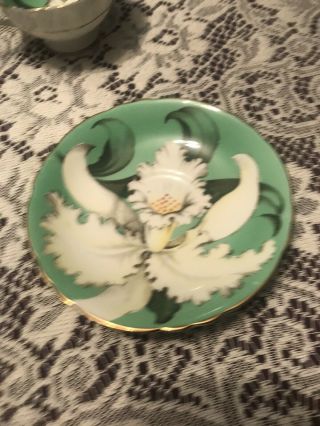 Paragon Double Warrant Green Orchid Cup And Saucer 10