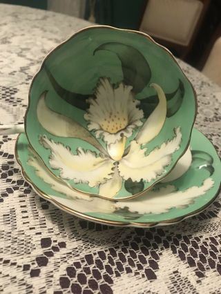 Paragon Double Warrant Green Orchid Cup And Saucer 3