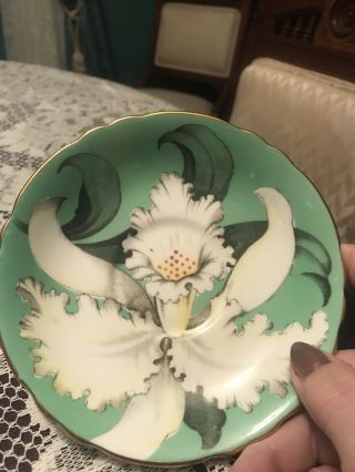 Paragon Double Warrant Green Orchid Cup And Saucer 4