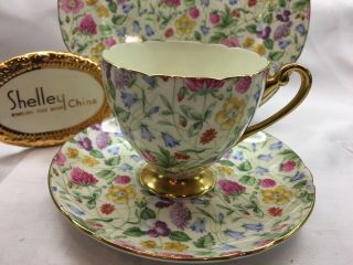 Shelley Country Side Chintz 13701 Footed Cup,  Saucer & 8 " Plate Ripon Shape