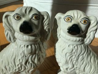 19th C.  Antique Pair Staffordshire Dogs Spaniels Sculpture C.  1800s