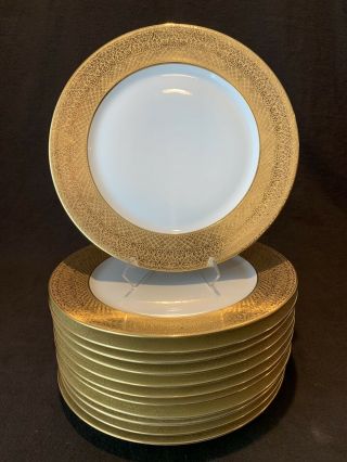 Antique Elite Limoges Gold Encrusted Cabinet Dinner Plates Set Of 12 - 11 "