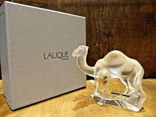 Very Rare - Lalique Crystal Tanger Chameau Camel Sculpture Boxed And Signed