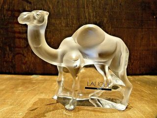 Very Rare - LALIQUE CRYSTAL TANGER CHAMEAU CAMEL SCULPTURE Boxed and Signed 2