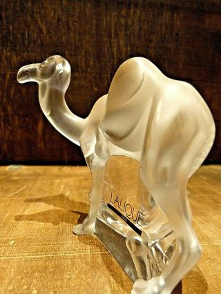 Very Rare - LALIQUE CRYSTAL TANGER CHAMEAU CAMEL SCULPTURE Boxed and Signed 4