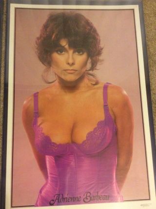 Vintage 1978 Adrienne Barbeau Lengerie Poster - 3594 Dargis 23 " X 35 "