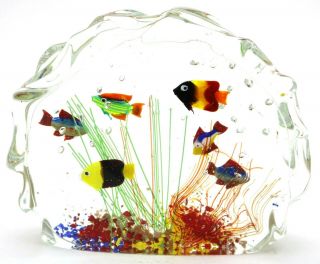 Wonderful Murano Colorful Tropical Fish Aquarium Art Glass Sculpture Paperweight
