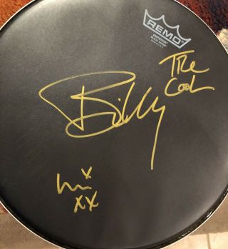 Green Day Drumhead Originally Autographed By Armstrong Tre Cool Dirnt