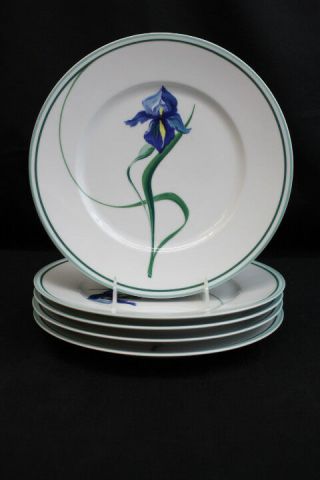 Set Of 5 " Iris " By Ceralene 10 3/4 " Dinner Plates Plates,  Limoges France