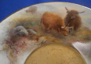 Royal Worcester Porcelain Stinton Highland Cattle Scene Saucer English Scenic 2