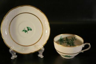 Set Of 8 Bavaria Schumann Us Zone Germany Green Flower Cup And Saucer Plate.