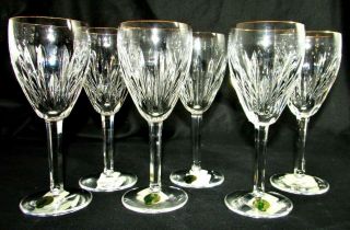 Waterford Crystal Golden Carina Set Of 6 Wine Glasses 7 " Nwt