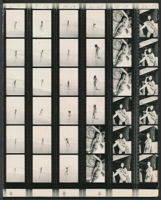 1960s Contact Sheet Photo Raquel Welch In Swimsuit - Un - Published Shots