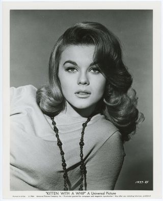 Sultry Sex Kitten With A Whip Bad Girl Ann - Margret Vintage 1965 Photograph Pinup