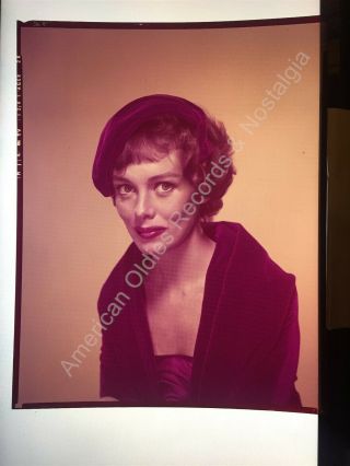 Phyllis Kirk.  " The Thin Man " (1950s 8x10 Color Transparency.  Rare