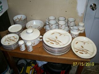 Pristine Stonehenge Midwinter Wild Oats Pattern Oven - To - Tableware 64 Pc.  Service