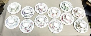 Royal Albert - Flower Of The Month Series - Complete Set 36 Piece