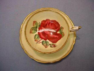 Paragon Huge Cabbage Rose Teacup & Saucer - R.  Johnson