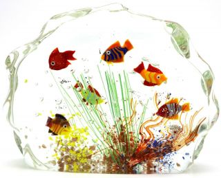 Spectacular Murano Tropical Fish Aquarium Art Glass Sculpture Paperweight 7 "
