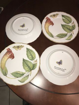 Anna Weatherley Fine China Treasure Garden Dinner Plate