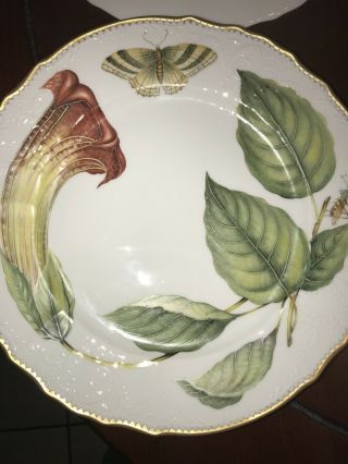 anna weatherley Fine China Treasure Garden Dinner Plate 2