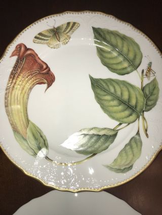 anna weatherley Fine China Treasure Garden Dinner Plate 4