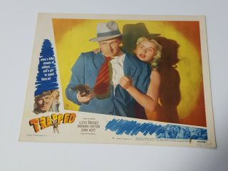 1949 Trapped Lobby Card 11 " X14 " Lloyd Bridges,  Barbara Payton Film Noir