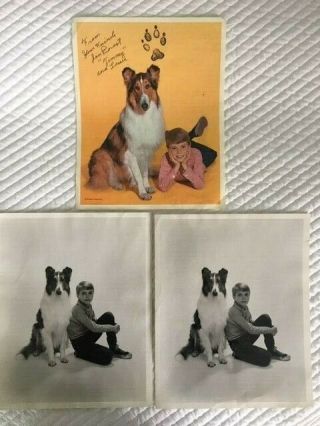 Lassie And Timmy Rare Color And B&w 8x10 Photos.  Set Of 3