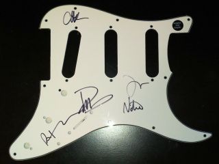 Foo Fighters 5x Hand Signed Guitar Pick Guard Dave Grohl Pat Smear